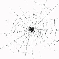 Паутина пыль капли