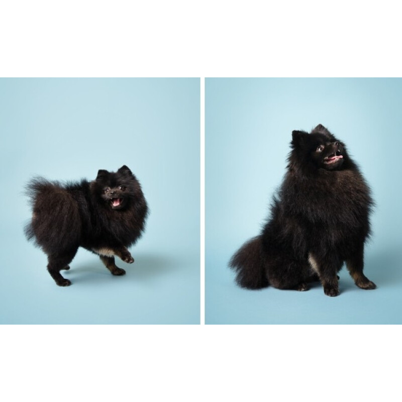 Savage (2-12) Sky Blue фон бумажный 2,7x11 м небесный голубой