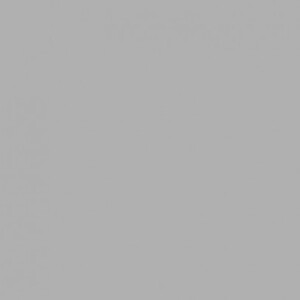 Savage (60-12) Focus Gray фон бумажный 2,7x11 м серый