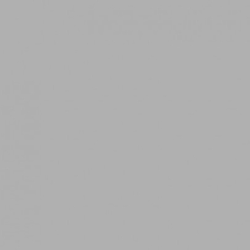 Savage (60-12) Focus Gray фон бумажный 2,7x11 м серый