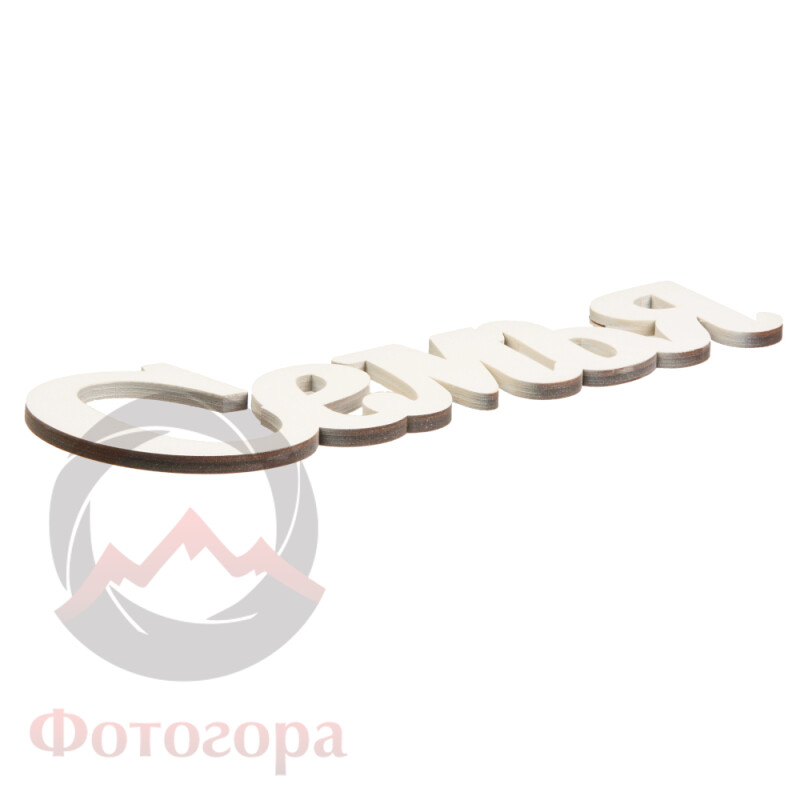 Fotokvant PRI-006 Семья 29x10 см