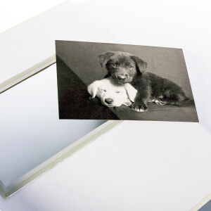 Walther FA-502-W Сharm фотоальбом 50 белых страниц 30x30 белый с окошком