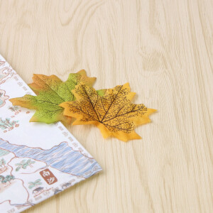 Fotokvant DAN-1128 бумажный фон с окрасом под дерево WP2 для съемки предметов