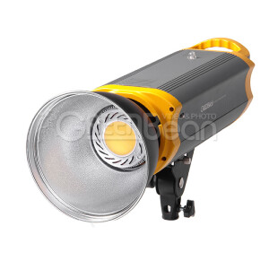 GreenBean SunLight 200 LEDX2 BW студийный светодиодный осветитель