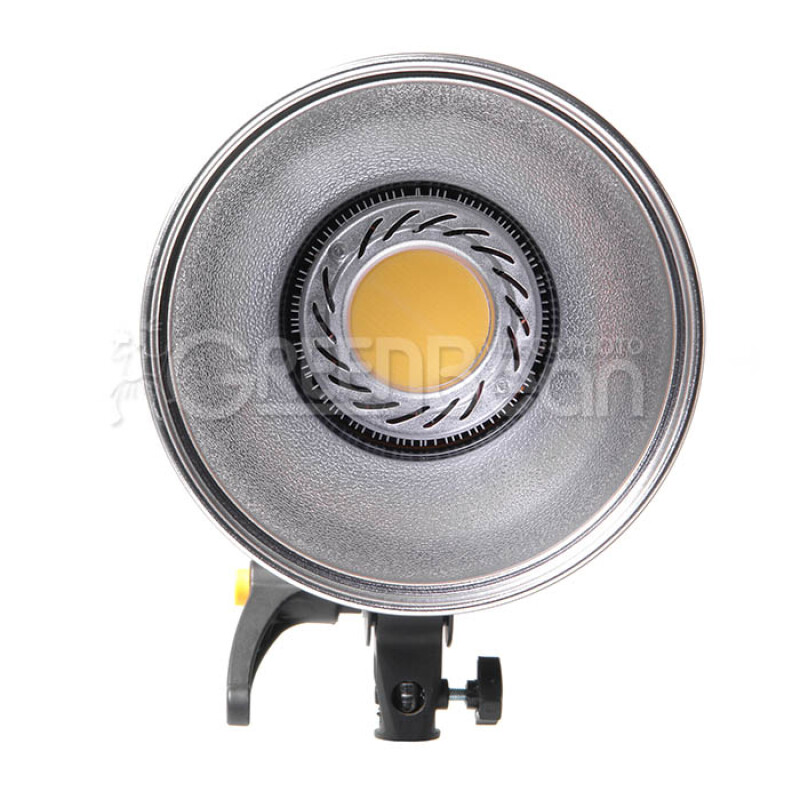 GreenBean SunLight 200 LEDX2 BW студийный светодиодный осветитель