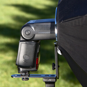 Aurora FBO2G 65 ALB Firefly2 Beauty Box октобокс 65 см серебро-золото для накамерной вспышки