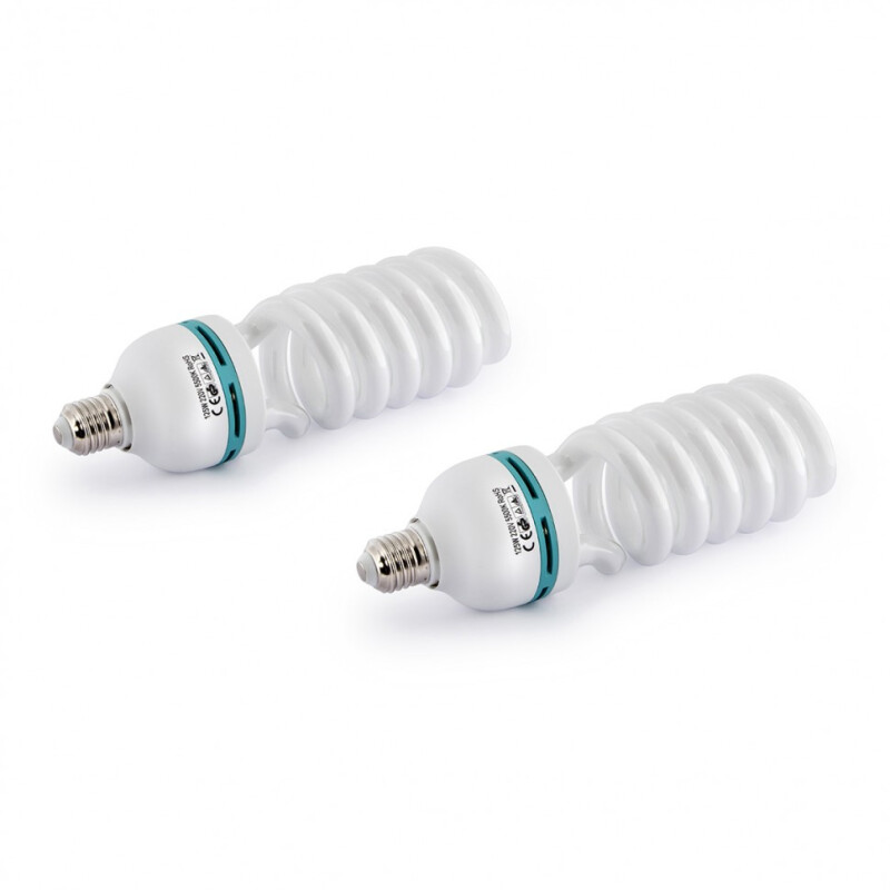 Rekam CL-310-FL2-SB kit комплект флуоресцентных осветителей с софтбоксами