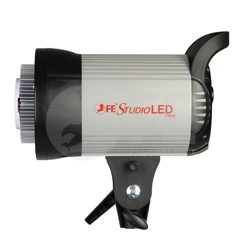 Falcon Eyes Studio LED 75 студийный светодиодный осветитель
