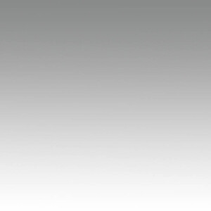 Colorama COGRAD303 Colorgrad 110x170 см White-Grey градиентный белый-серый