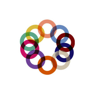 Rotolight (R421) RL48 Lee Filters Colour FX Add-On Pack комплект светофильтров 10 шт.