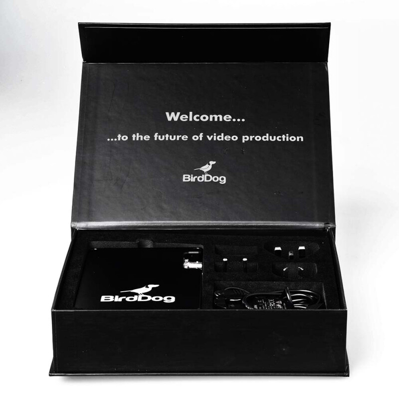 BirdDog BDSTUM01 конвертер для приема и преобразования ТВ-сигнала