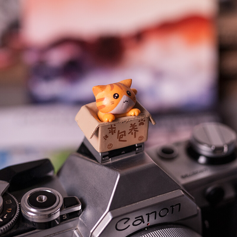 Fotokvant PRZ-001 заглушка на горячий башмак котенок в коробке рыжий