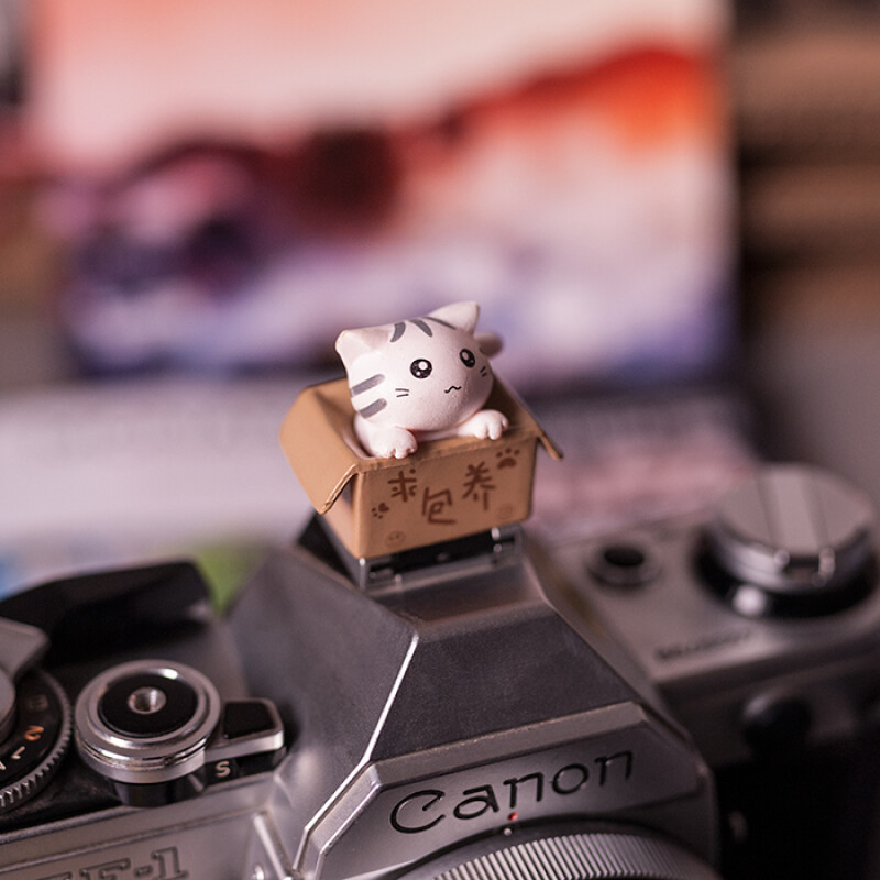 Fotokvant PRZ-002 заглушка на горячий башмак котенок в коробке светло-розовый