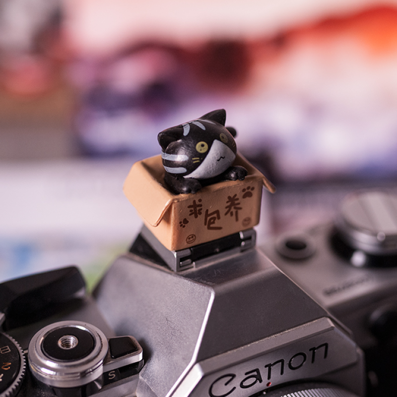 Fotokvant PRZ-004 заглушка на горячий башмак котенок в коробке черный