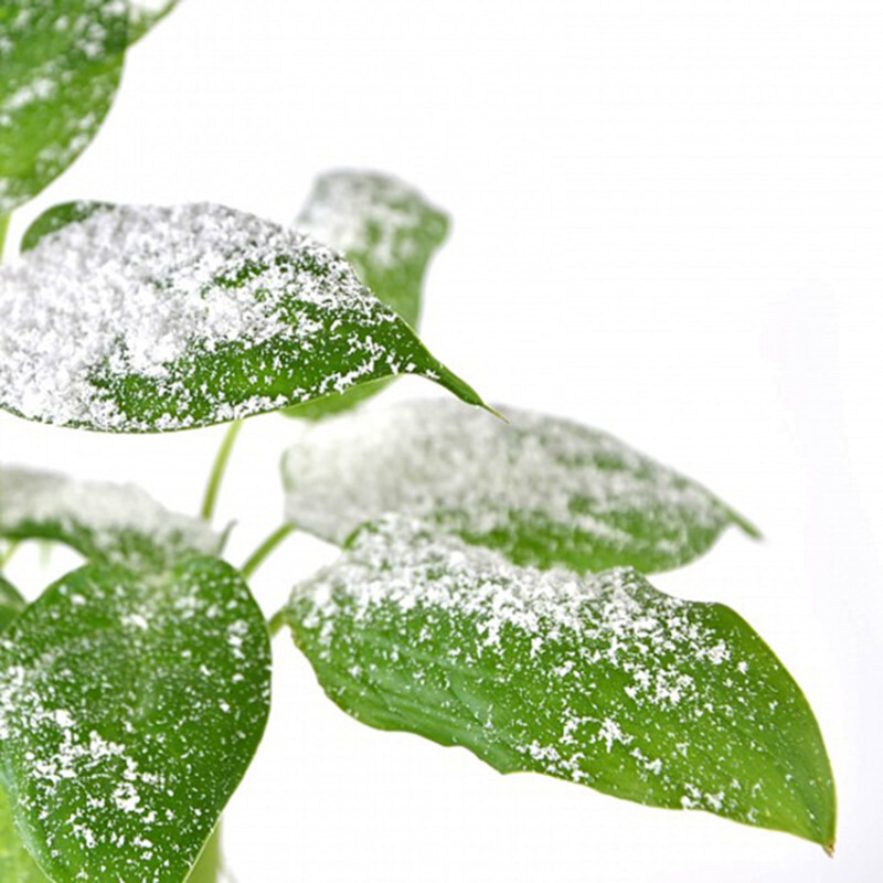 Condor SNOW EFFECT эффект "Снег" 1000 мл