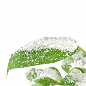 Condor SNOW EFFECT эффект &quot;Снег&quot; 5000 мл