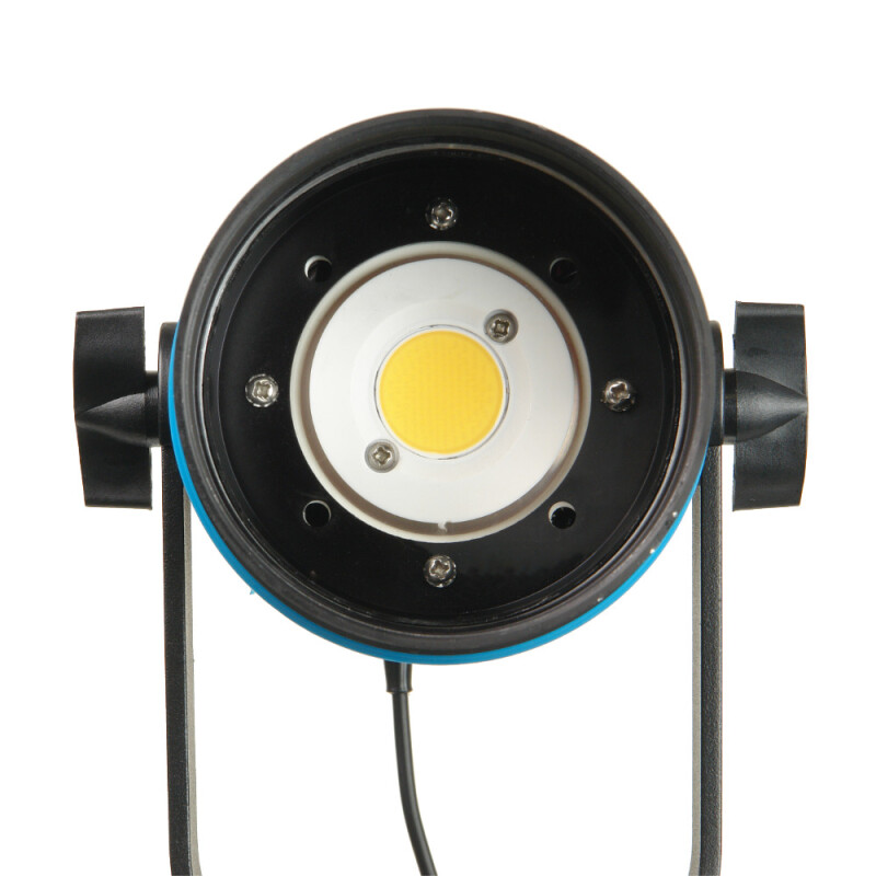 Falcon Eyes SpotLight 70LED BW светодиодный осветитель