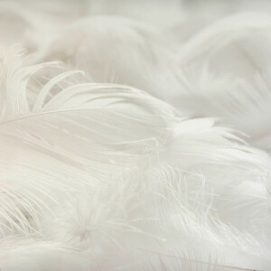 LAXY №19 фон пластиковый художественный