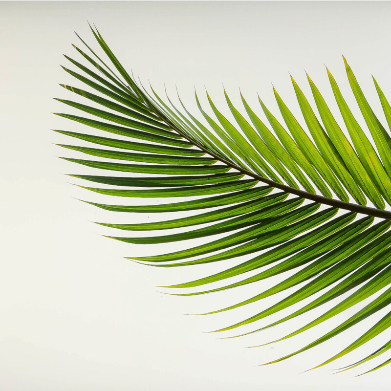 LAXY №27 фон пластиковый художественный