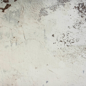 LAXY №47 фон пластиковый художественный