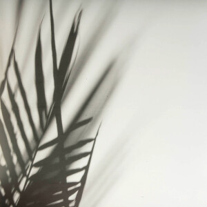 LAXY №51 фон пластиковый художественный