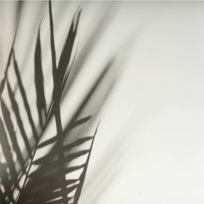 LAXY №51 фон пластиковый художественный