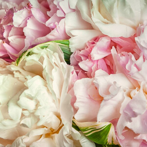 LAXY №18 фон пластиковый бело-розовые цветы художественный