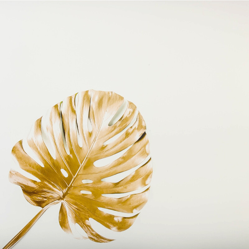 LAXY №37 фон пластиковый художественный золотой лист монстеры