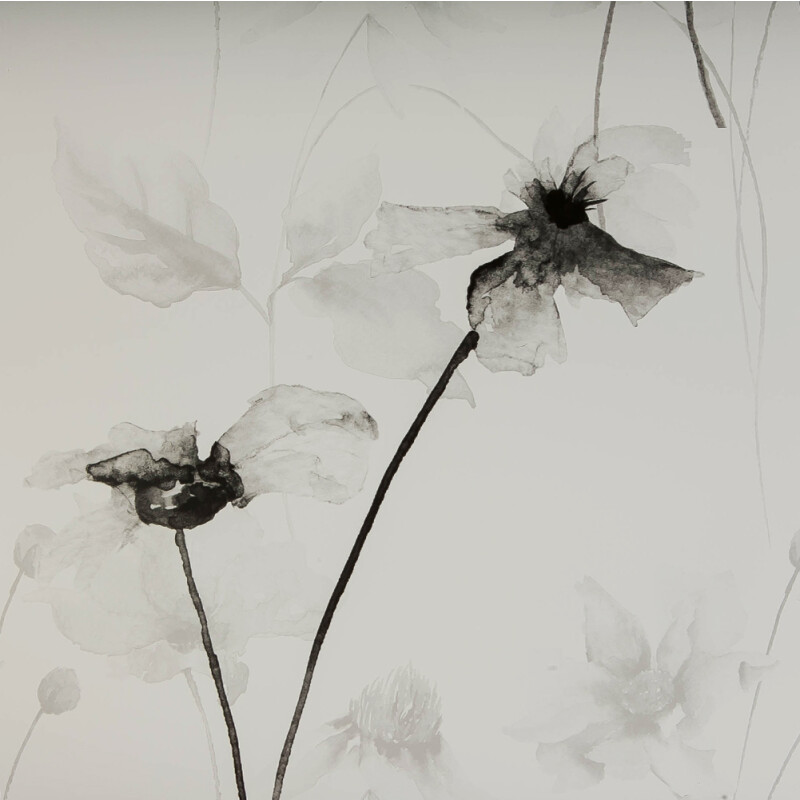 LAXY №52 фон пластиковый рентгеновский снимок цветов