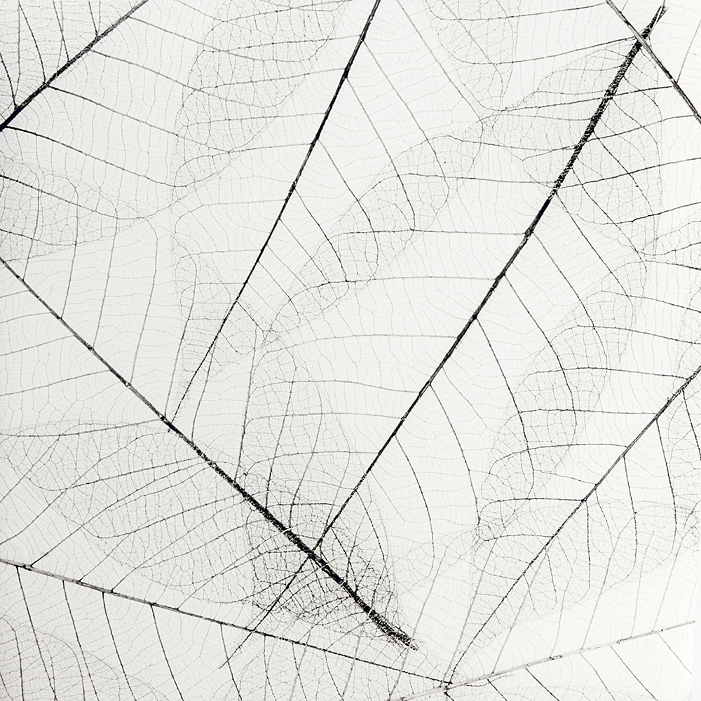 LAXY №53 фон пластиковый с рисунком паутинки листьев