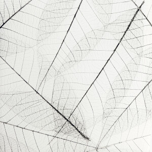 LAXY №53 фон пластиковый с рисунком паутинки листьев