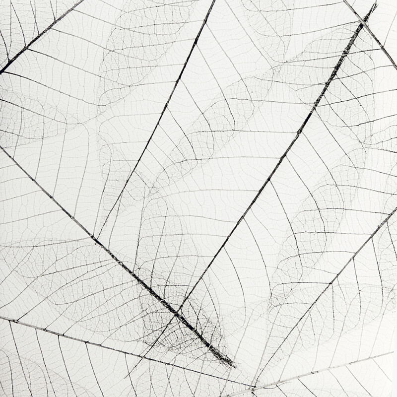 LAXY №53 фон пластиковый с рисунком паутинки листьев