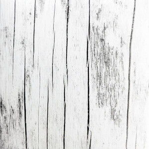 LAXY №59 фон пластиковый с рисунком серое дерево