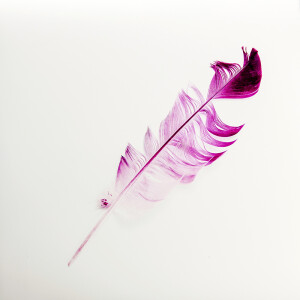 LAXY №60 фон пластиковый перо художественный