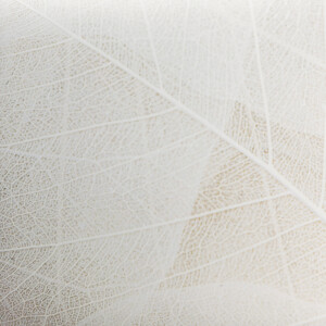 LAXY №65 фон пластиковый художественный