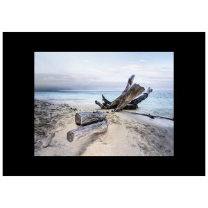 Styler CA-11969 репродукция Ветка на холсте 83X113см