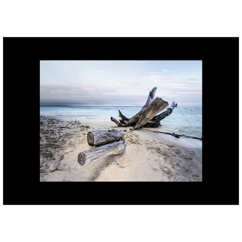 Styler CA-11969 репродукция Ветка на холсте 83X113см