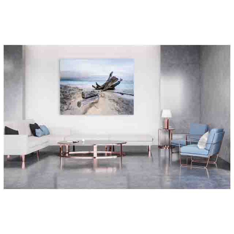 Styler CA-11969 репродукция Ветка на холсте 83X113см