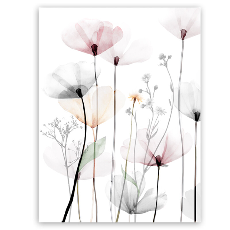 Styler CA-12524 репродукция Маки 1 на холсте 60X80см