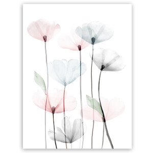 Styler CA-12525 репродукция Маки 2 на холсте 60X80см