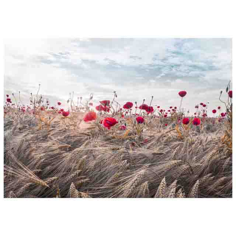 Styler CA-12823 репродукция Маки в стиле бохо на холсте 75X100см