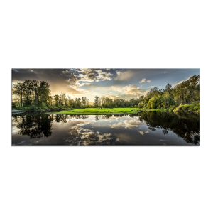 Styler GL-00655 репродукция Природа на стекле 50X125см