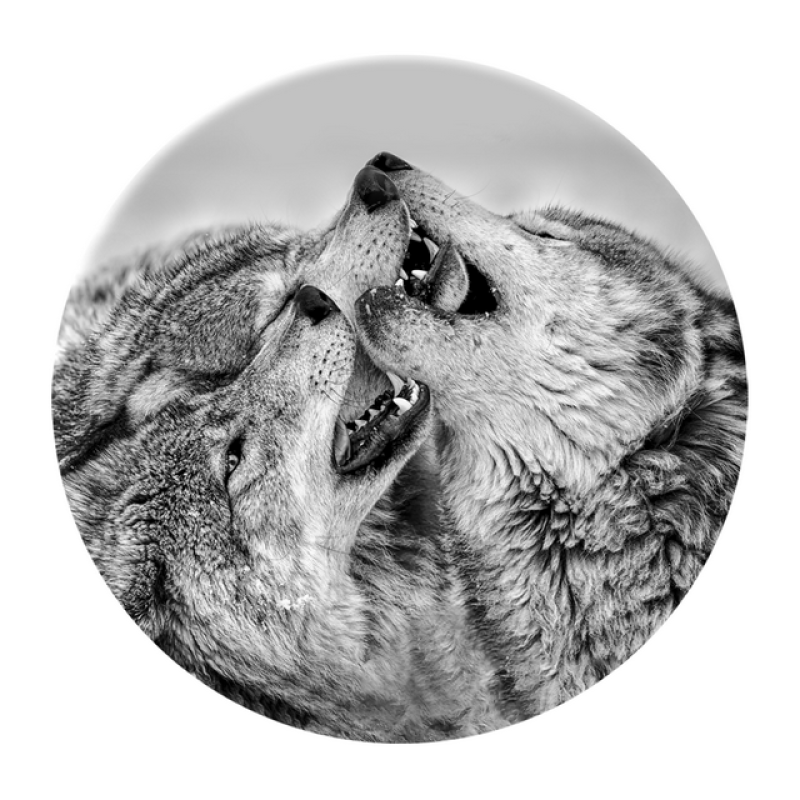 Styler GL-01179 репродукция Волки на стекле диаметр 70см