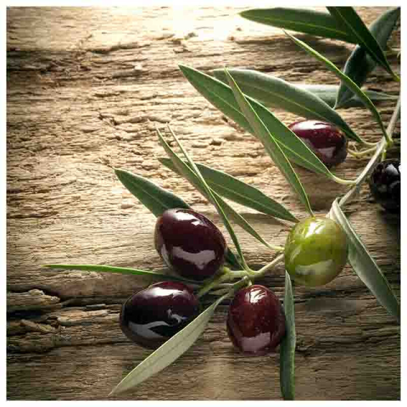 Styler GL00910 репродукция Оливки 4, на ветке на стекле 30X30см