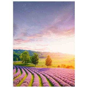 Styler GL02011 репродукция Тоскана на стекле 50X70см