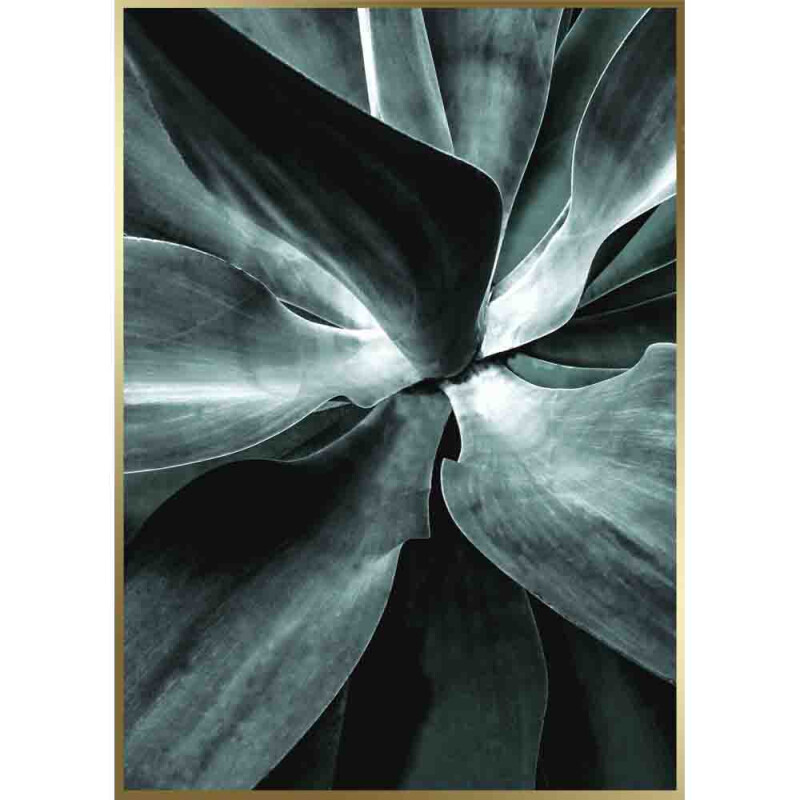 Styler OB-02667 постер Сочность 50X70см