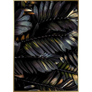 Styler OB-13771 постер Оперение 50X70см