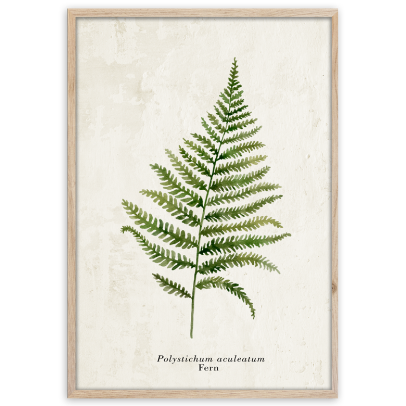 Styler OB-13807 постер Папоротник 50X70см