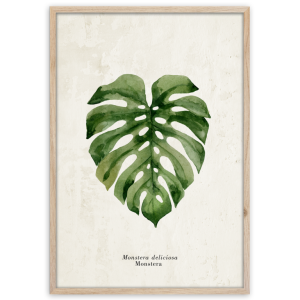 Styler OB-13808 постер Монстера 50X70см