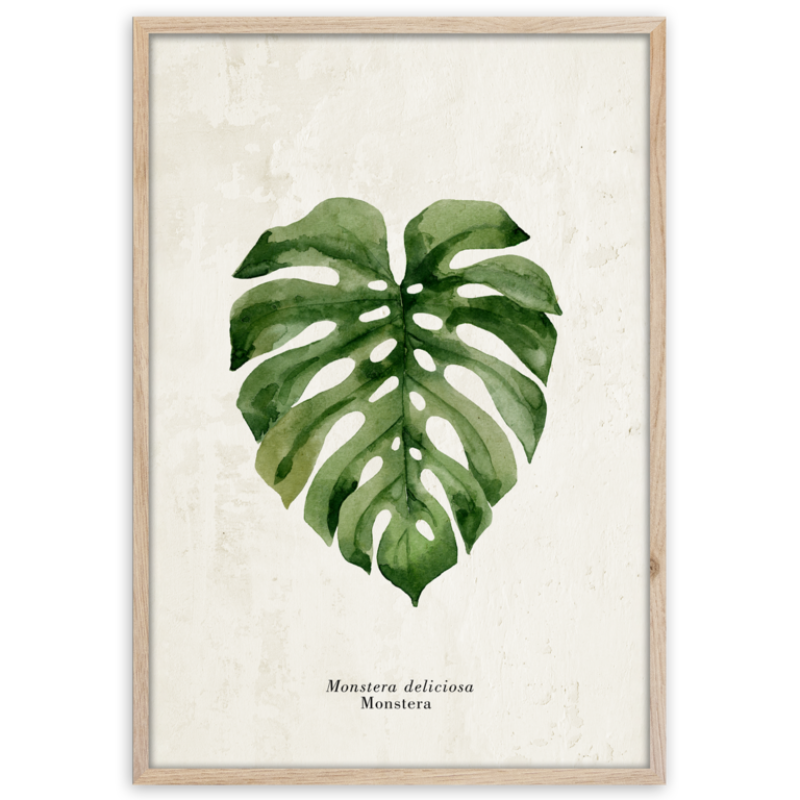 Styler OB-13808 постер Монстера 50X70см